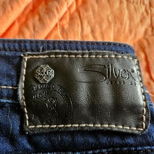 Silver Brand Suki Jeggings